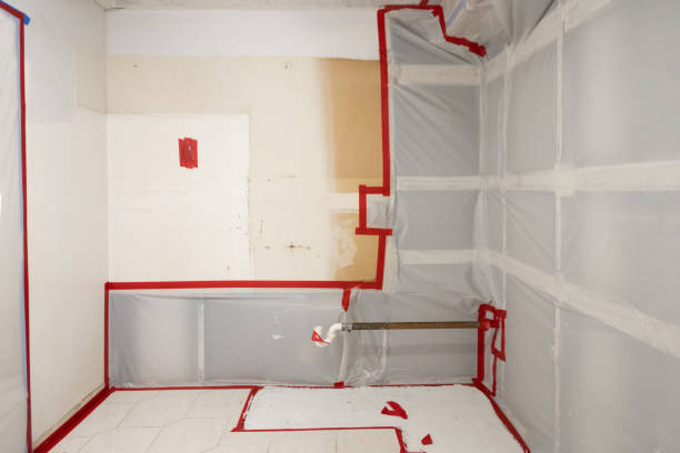 Environmental Consulting for Mold Prevention in Portage, MI