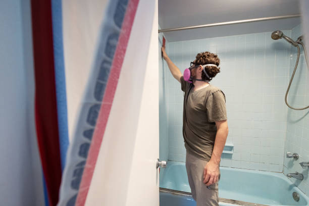 Best Emergency Mold Remediation  in Portage, MI