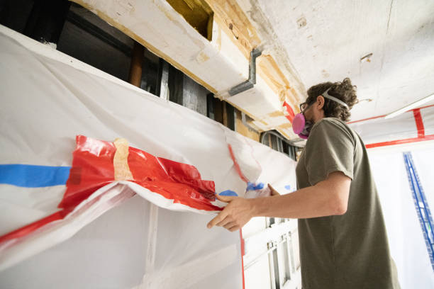 Reliable Portage, MI Mold Removal Solutions