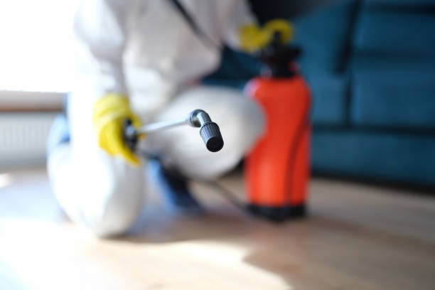 Best Airborne Mold Testing  in Portage, MI