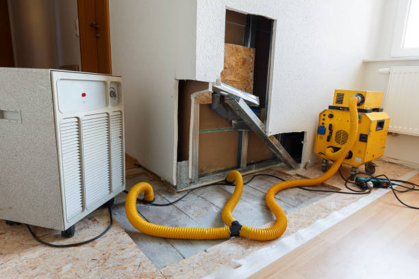  Portage, MI Mold Removal Pros