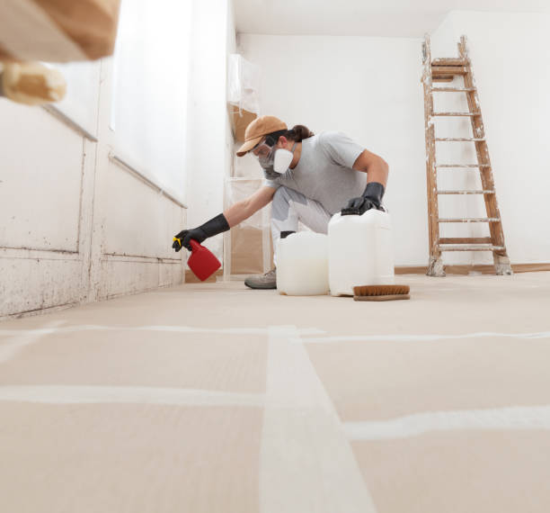 Best Biohazard Mold Removal  in Portage, MI
