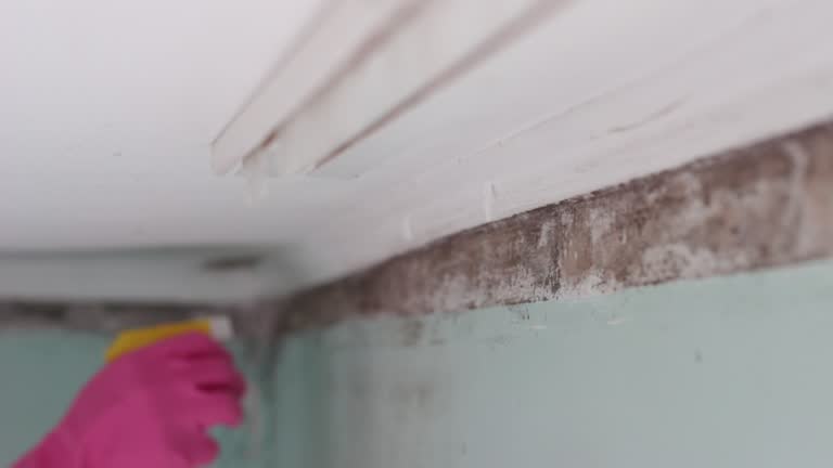 Best Post-Remediation Verification Testing  in Portage, MI